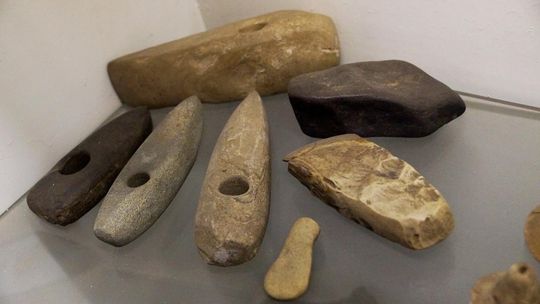 Neolityczne toporki w kozielskim muzeum