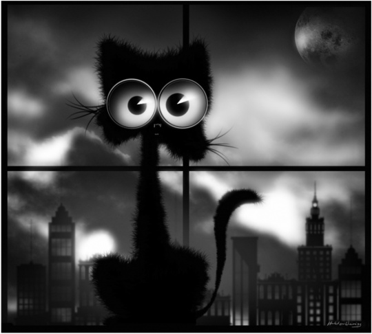 Kot w nieco innej wersji